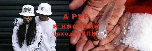 прущий лед Богданович