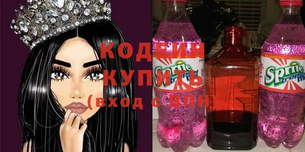 прущий лед Богданович