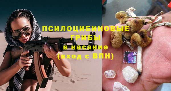 прущий лед Богданович