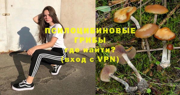 прущая мука Богородск