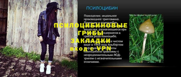 прущая мука Богородск