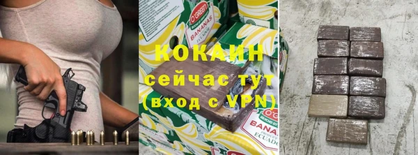 прущий лед Богданович