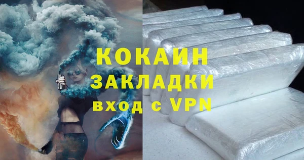 стаф Тайга