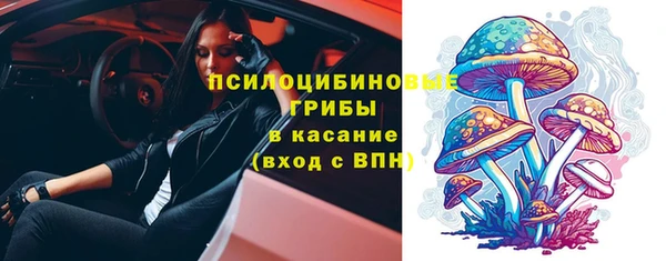 прущий лед Богданович