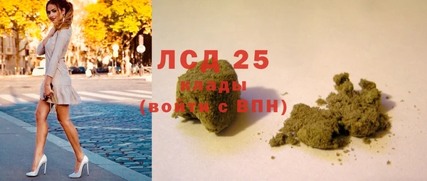 ПСИЛОЦИБИНОВЫЕ ГРИБЫ Богородицк