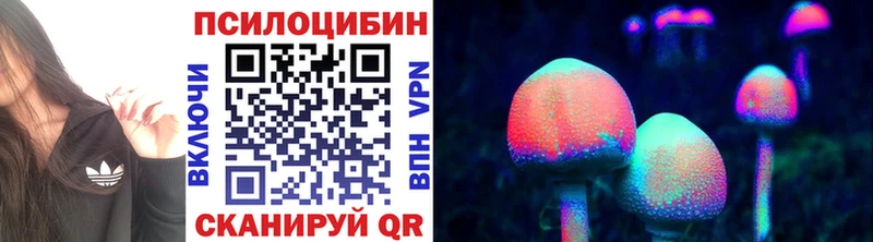 Псилоцибиновые грибы MAGIC MUSHROOMS  где найти   Кириллов 