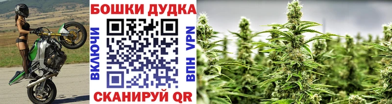 Канабис семена  Кириллов 